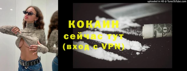 дмт Алексин