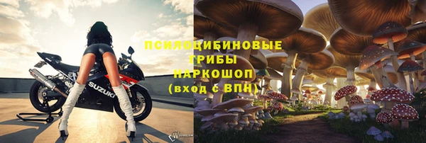 прущие грибы Дмитриев